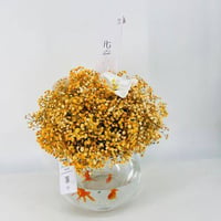 3043-74 - صورة 3