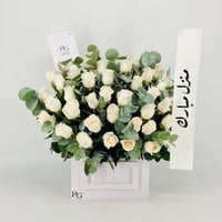 13543 - صورة 1