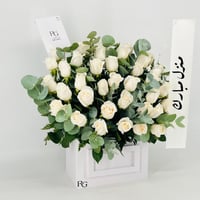 13543 - صورة 2