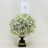 2790 - Image 1