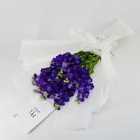 14237 - Image 3