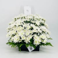 7920 - صورة 1