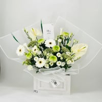 11751 - Image 1