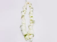 3163 - صورة 2