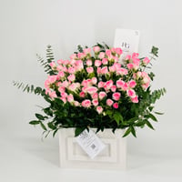 8713-767 - صورة 2