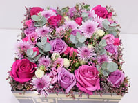 3841 - صورة 2