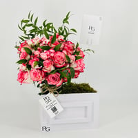 12864 - Image 3