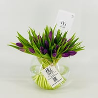 13243 - Image 1