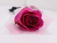 0041 - Image 4