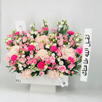 12743 - Image 3
