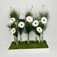 7714 - Image 1