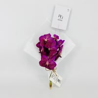 14230 - صورة 1
