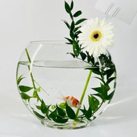 12295-708 - صورة 4