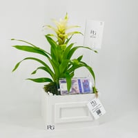 12436 - Image 3