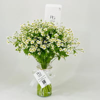 11763 - Image 1