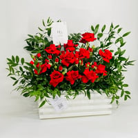 10141-714 - صورة 2