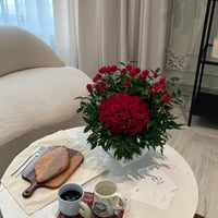 5860-830 - صورة 1