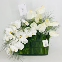 13846 - صورة 4