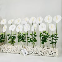 11802 - Image 3