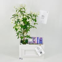 12466 - Image 1