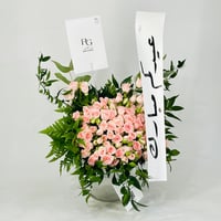12093 - صورة 2
