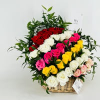 13927 - صورة 2