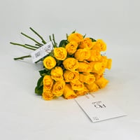 5008 - Image 1