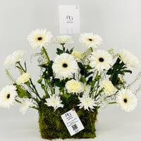 12948 - Image 4