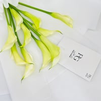 5035 - Image 4