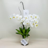 7818-103 - Image 1