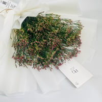 5049 - Image 3
