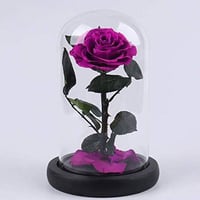 3002-33 - صورة 1