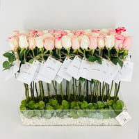 13923 - Image 1