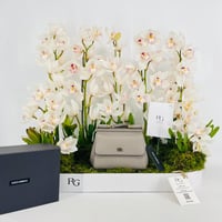 15431 - Image 2