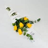 11537-656 - صورة 1