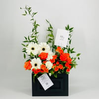 8711 - Image 1