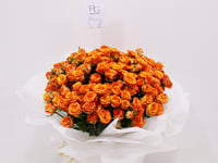 0076-54 - Image 2