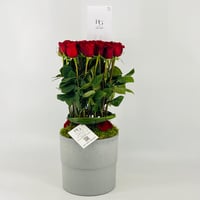 13340 - صورة 3