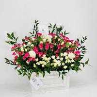 8334-117 - صورة 2