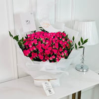 16505 - Image 2
