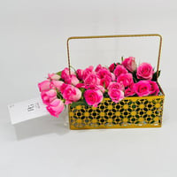 8568 - Image 1