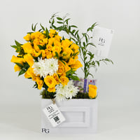 12867 - صورة 1