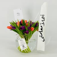 13546 - Image 3