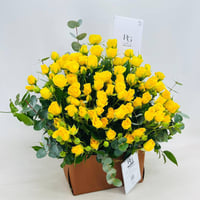 7521-95 - صورة 2