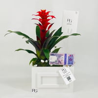 12438 - Image 1
