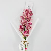 14271 - صورة 4