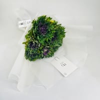 6800 - Image 2