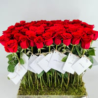 13909 - Image 5