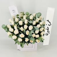 13541 - صورة 4