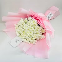 10909 - صورة 1
